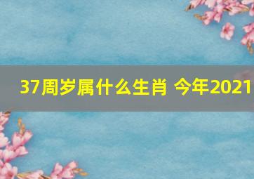 37周岁属什么生肖 今年2021